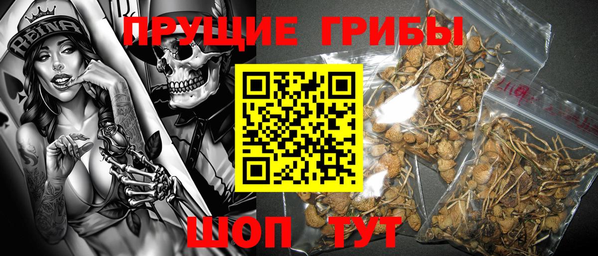  Кокаин Майский